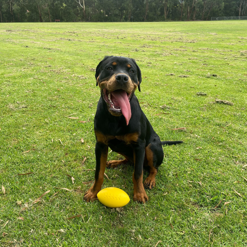 Aussie Dog Dura Footy: Ultra-Durable Rubber Dog Toy for Fetch & Play