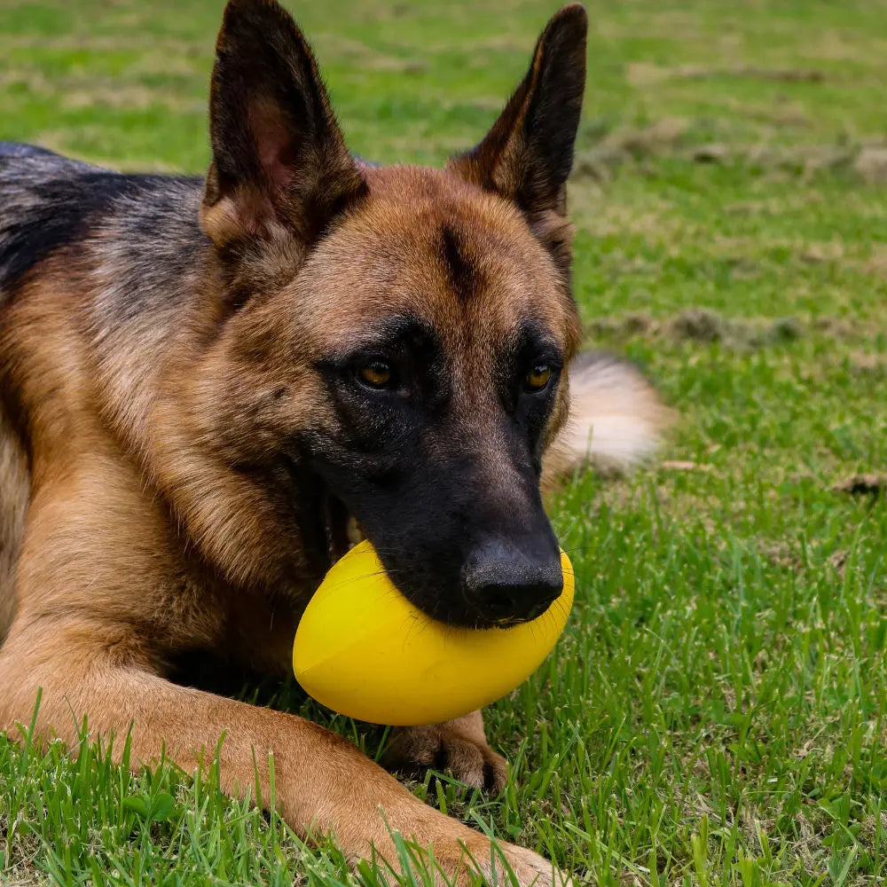 Aussie Dog Dura Footy: Ultra-Durable Rubber Dog Toy for Fetch & Play
