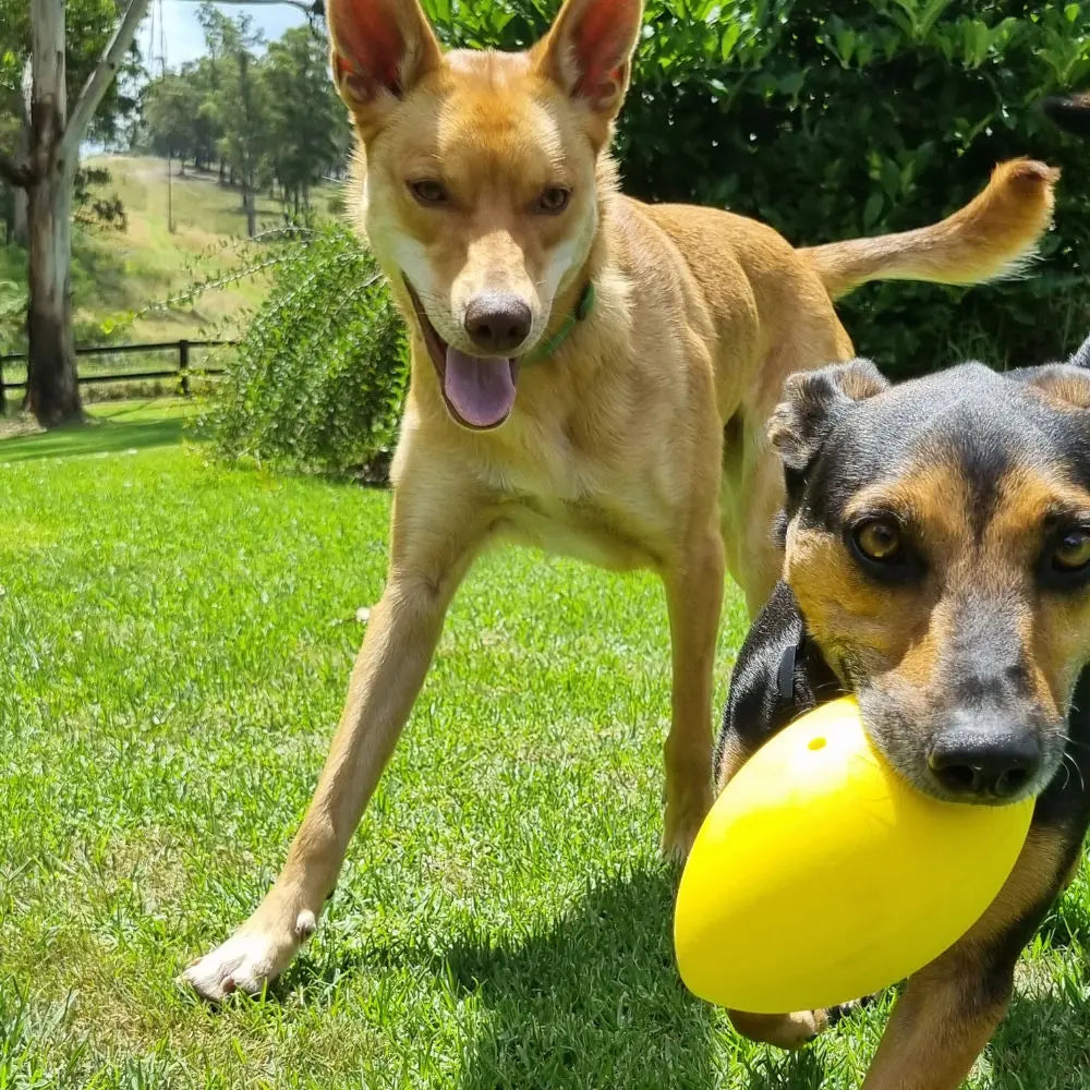 Aussie Dog Dura Footy: Ultra-Durable Rubber Dog Toy for Fetch & Play