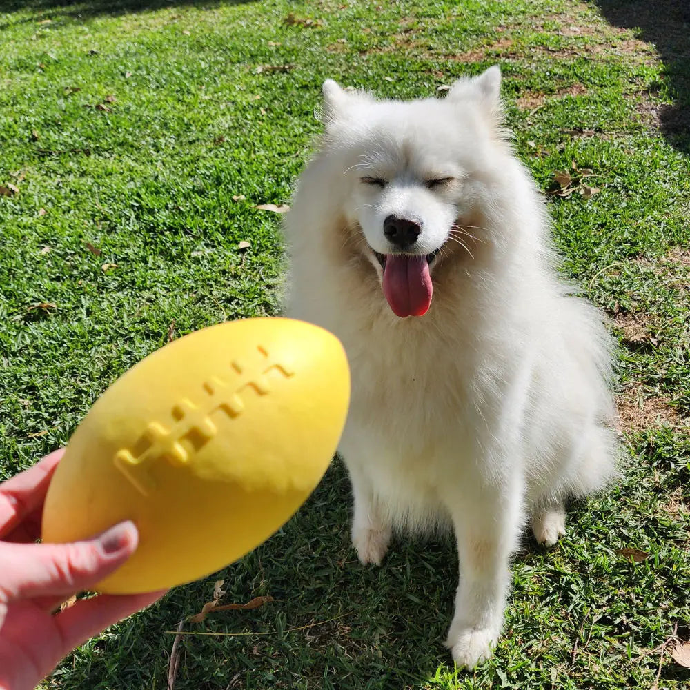 Aussie Dog Dura Footy: Ultra-Durable Rubber Dog Toy for Fetch & Play