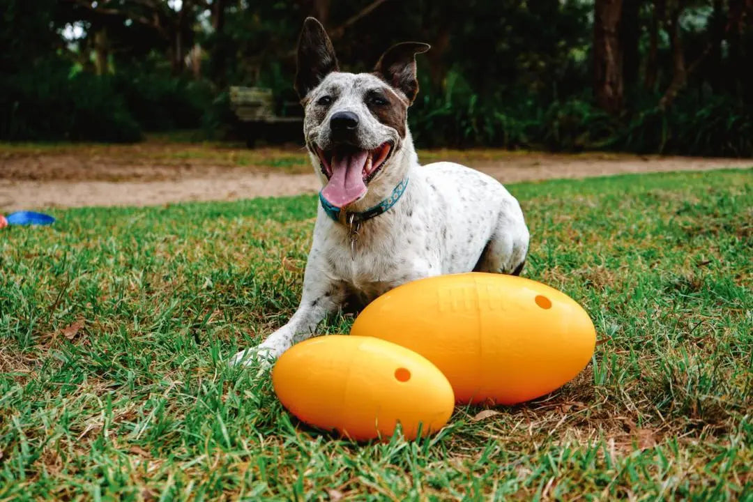 Ultimate Small Footy Feeder: Interactive Treat Dispensing Dog Toy