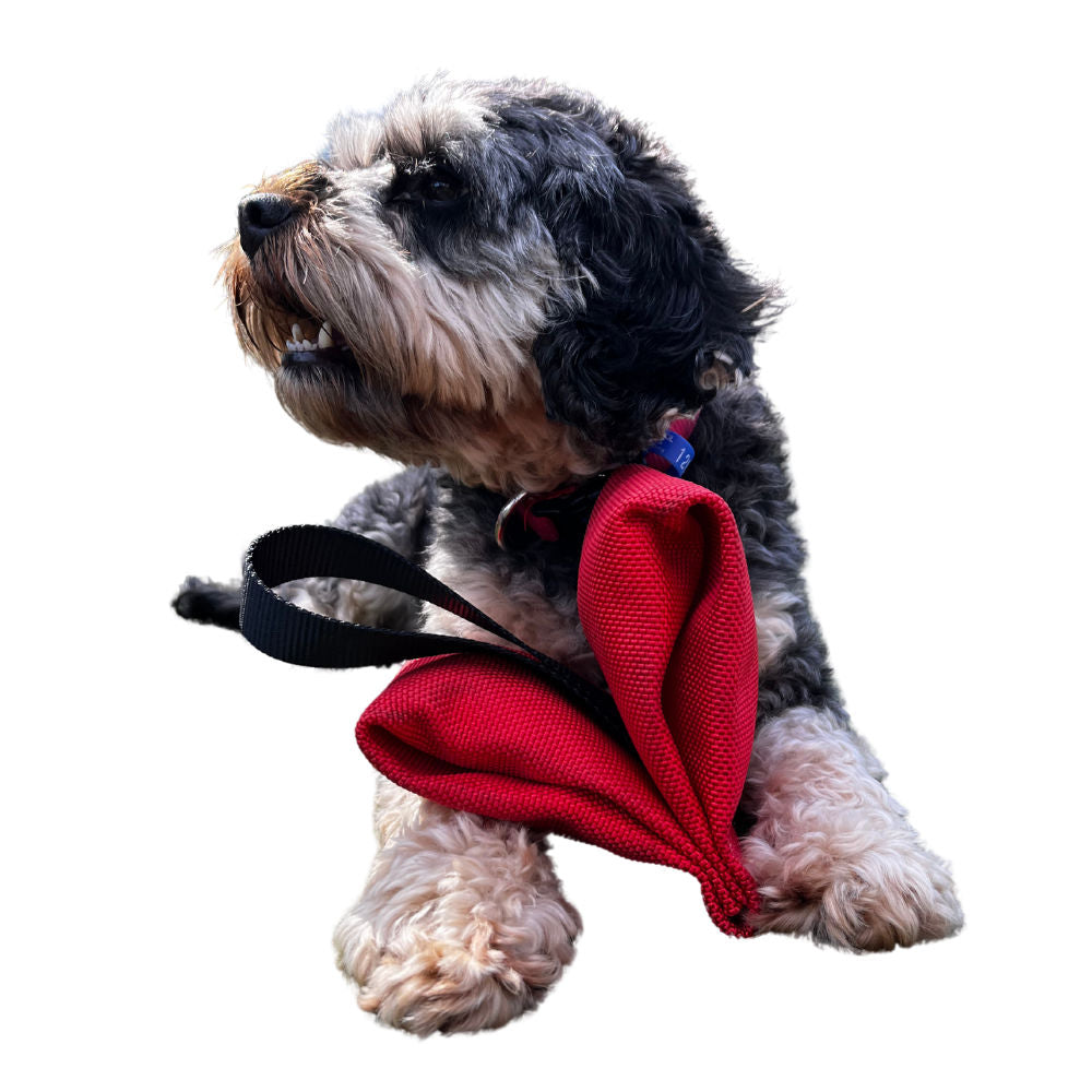 Durable Love Tug Dog Toy for Interactive Play and Training