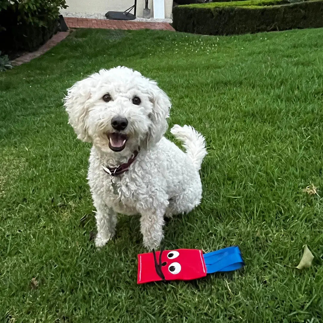 Durable Squeaky Bunny Dog Toy with Chew-Resistant Reinforced Seams for Playful Pups