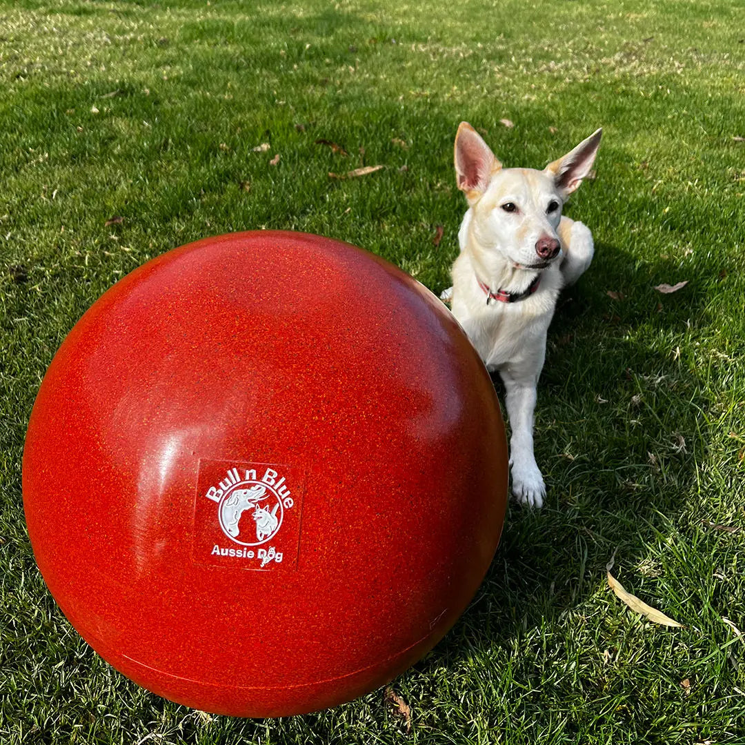 Ultimate Durable Herding Ball for Dogs: Interactive Play, Exercise, and Training