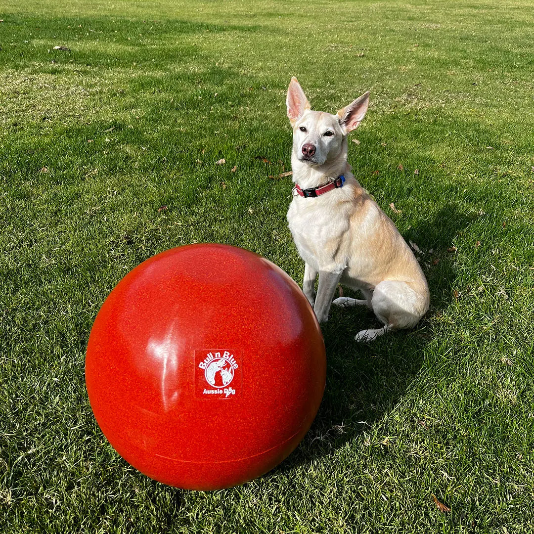 Ultimate Durable Herding Ball for Dogs: Interactive Play, Exercise, and Training