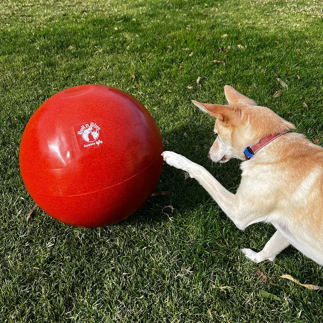 Ultimate Durable Herding Ball for Dogs: Interactive Play, Exercise, and Training