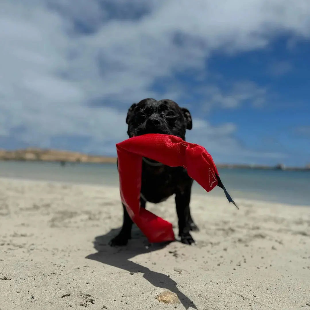 Durable Squeaky Snake Dog Toy: Interactive Fun for Playful Pups