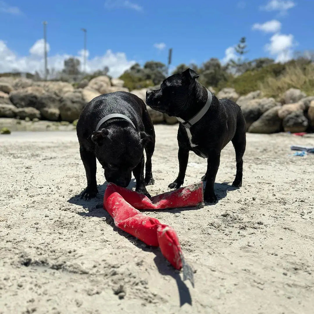 Durable Squeaky Snake Dog Toy: Interactive Fun for Playful Pups