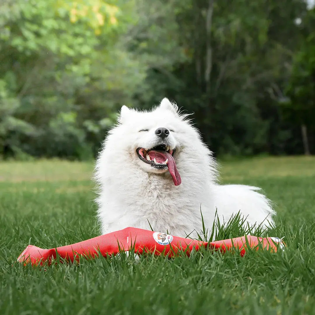 Durable Squeaky Snake Dog Toy: Interactive Fun for Playful Pups