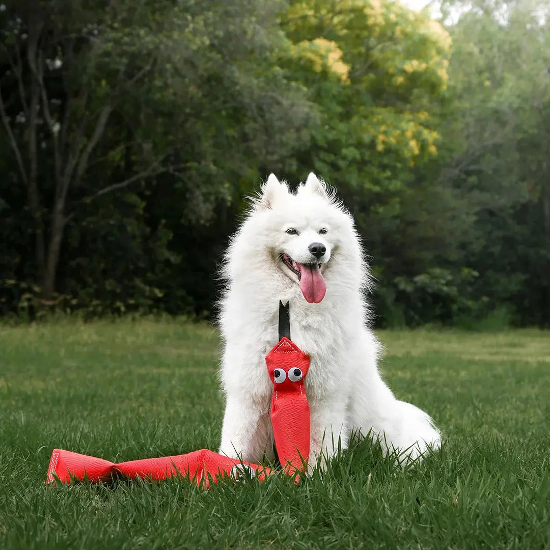 Durable Squeaky Snake Dog Toy: Interactive Fun for Playful Pups