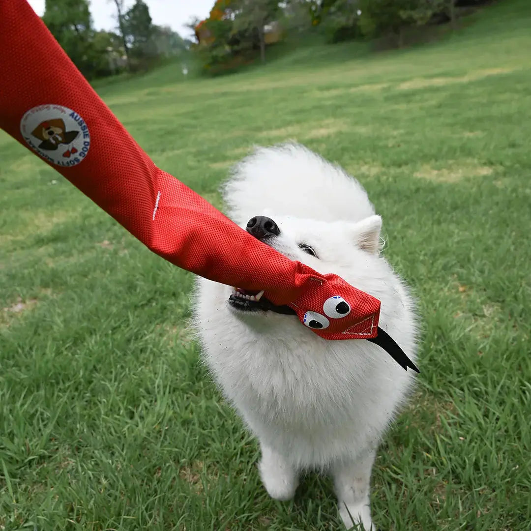 Durable Squeaky Snake Dog Toy: Interactive Fun for Playful Pups