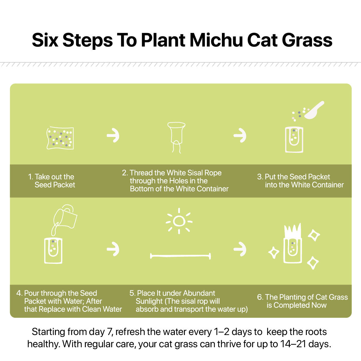 MICHU Soil-Free Cat Grass Kit with Australian Seed