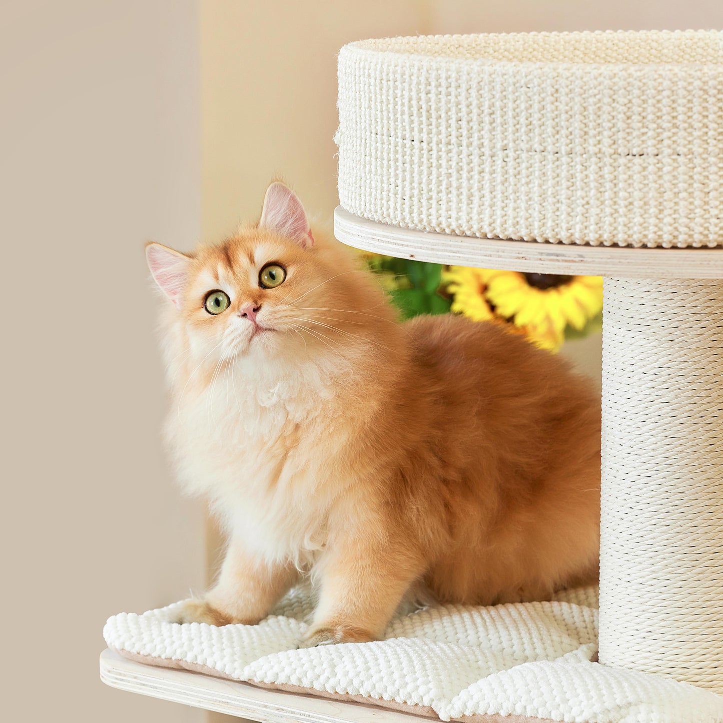 Michu Luna Multi-Layer Solid Wood Cat Nest Tree