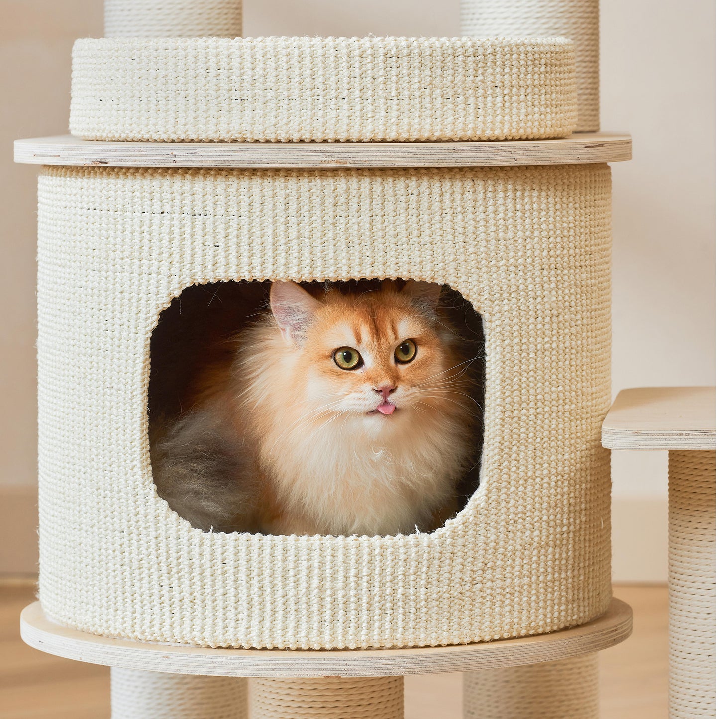 Michu Luna Multi-Layer Solid Wood Cat Nest Tree
