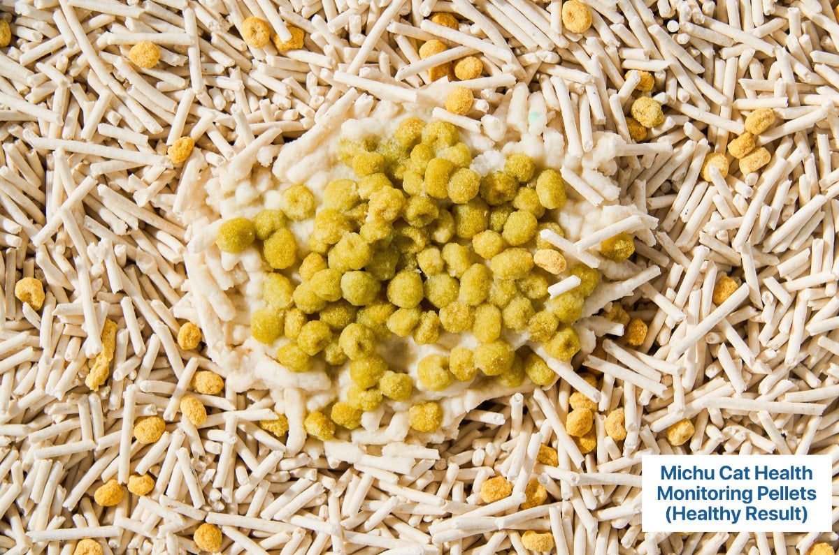 Michu Colour‑Changing Cat Urine Test Pellets – Early Health Monitor