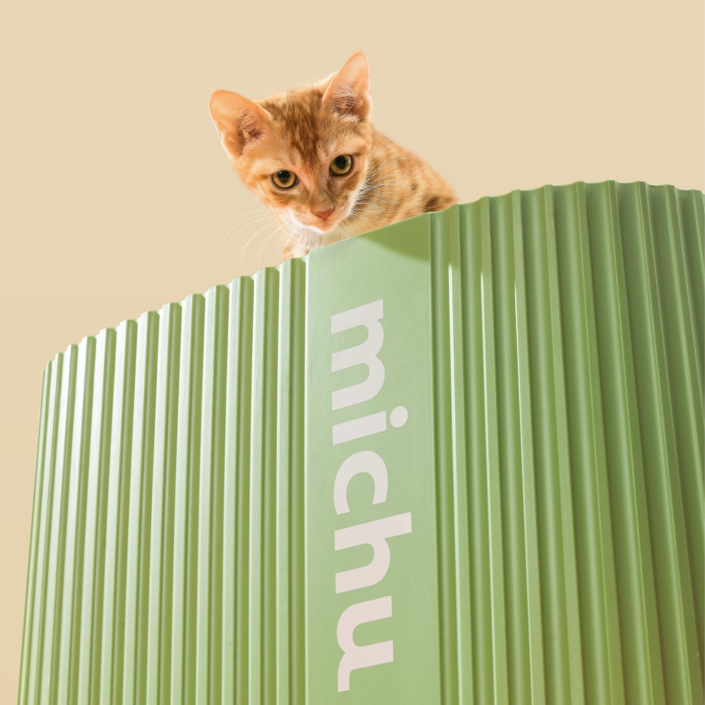 Michu Natural Tofu Cat Litter for Kittens – Low‑Dust, Flushable, 2.5kg