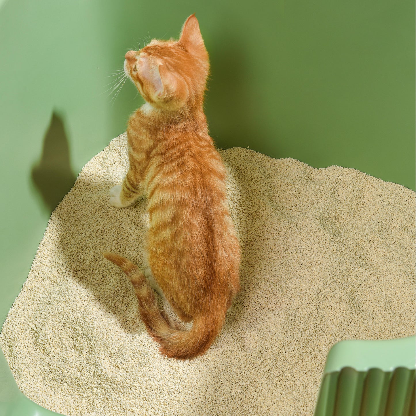 Michu Natural Tofu Cat Litter for Kittens – Low‑Dust, Flushable, 2.5kg