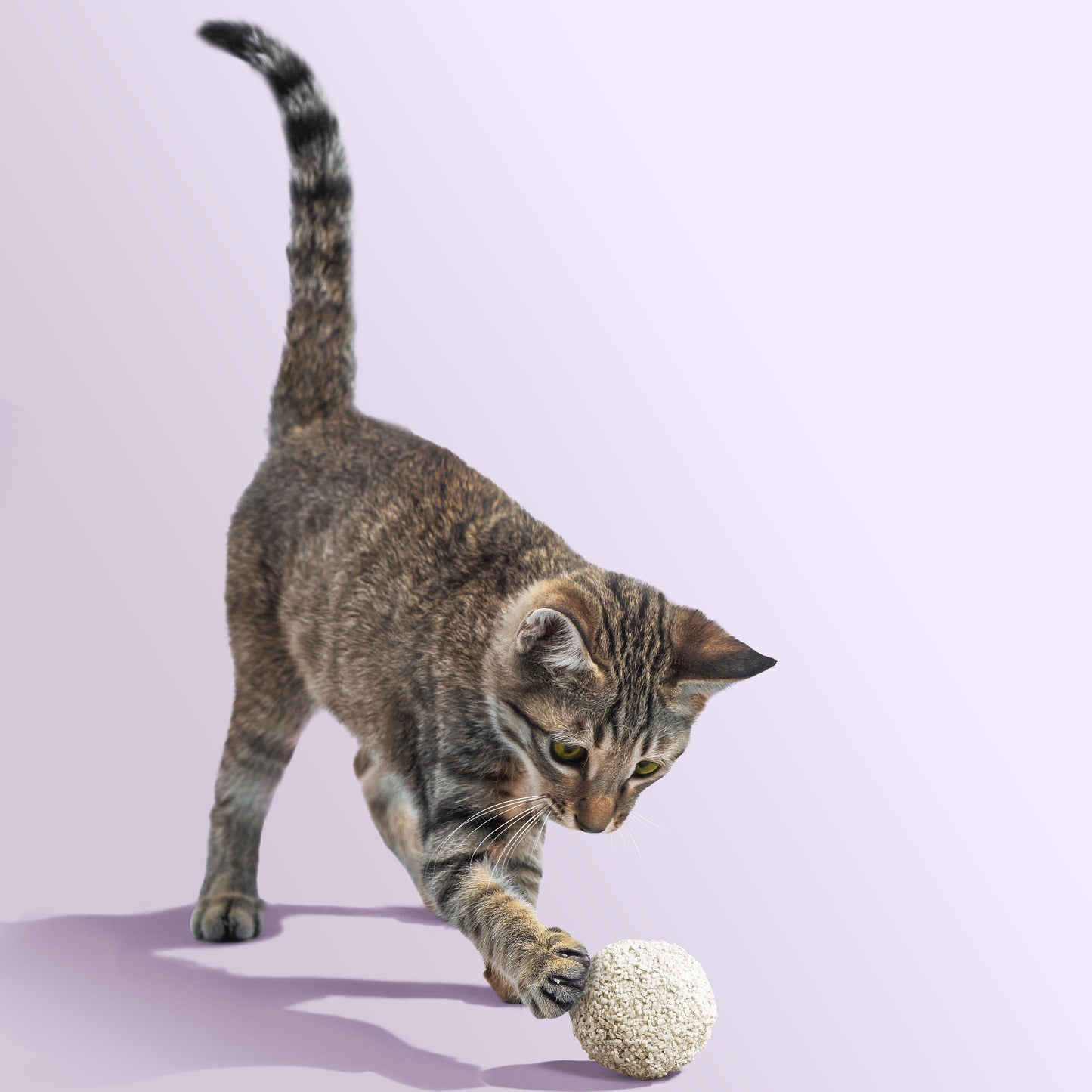 Michu Natural Tofu Cat Litter for Kittens – Low‑Dust, Flushable, 2.5kg