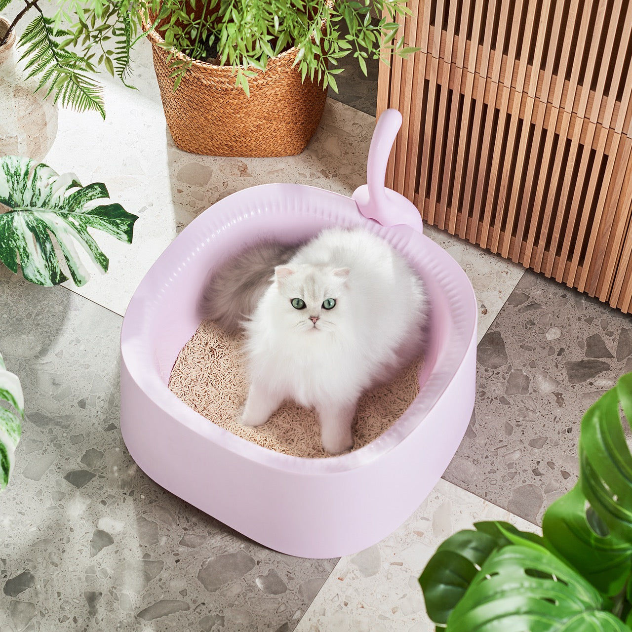 Michu Macaron Extra Large High Edge Open Cat Litter Box
