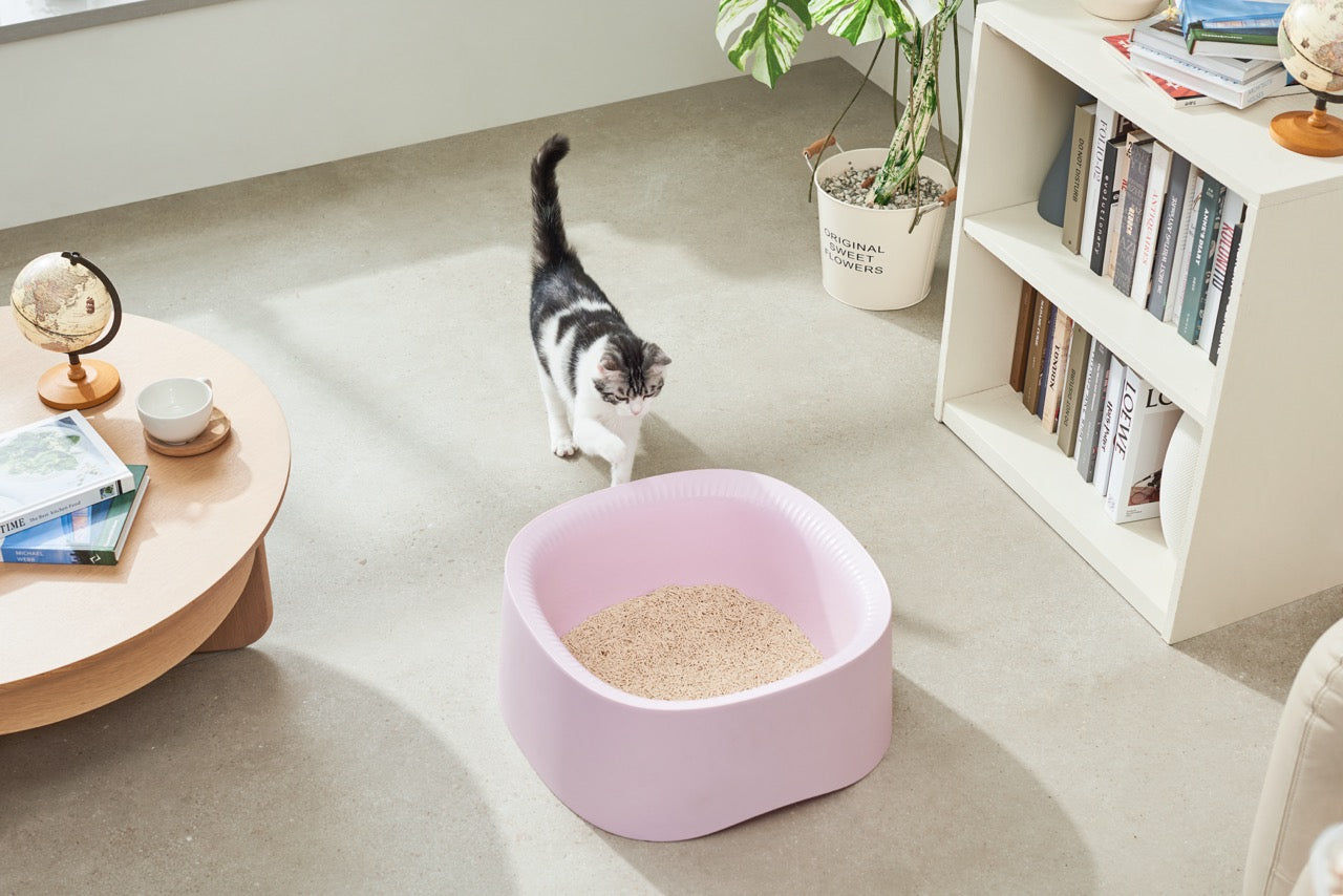 Michu Macaron Extra Large High Edge Open Cat Litter Box