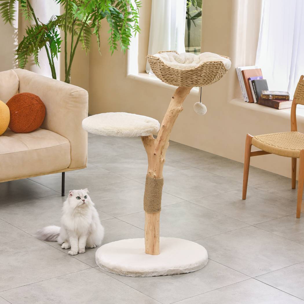 Michu Premium Real Wooden Cat Tree Medium Spacious Australian Feline Haven
