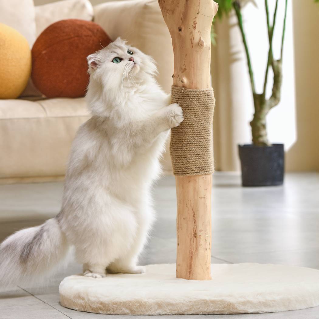 Michu Premium Real Wooden Cat Tree Medium Spacious Australian Feline Haven