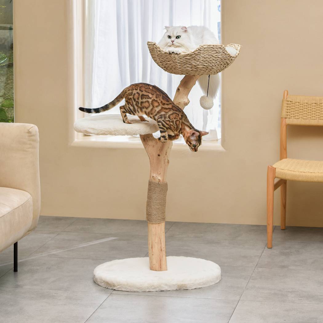 Michu Premium Real Wooden Cat Tree Medium Spacious Australian Feline Haven