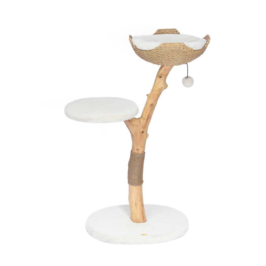 Michu Premium Real Wooden Cat Tree Medium Spacious Australian Feline Haven