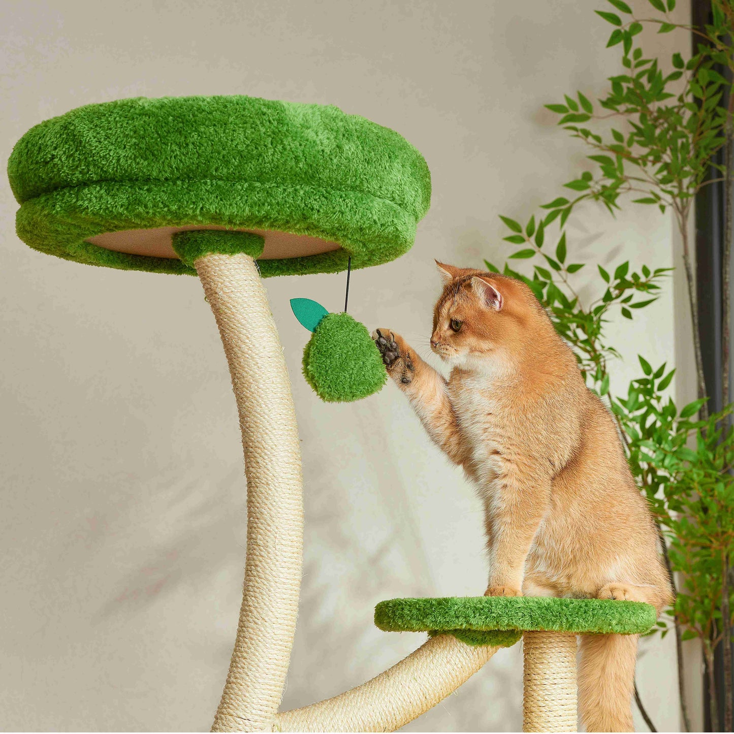 Michu Verde Modern Solid Wood Cat Tree: Multi-Level, Cozy Pear Nest
