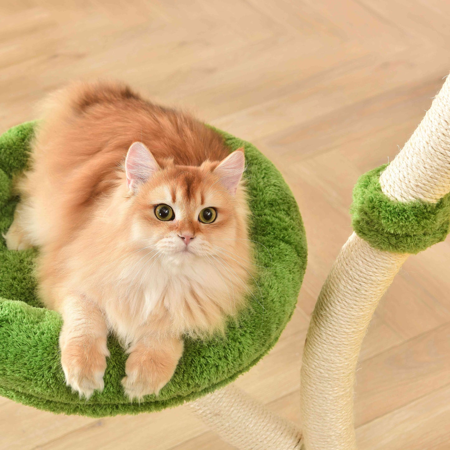 Michu Verde Modern Solid Wood Cat Tree: Multi-Level, Cozy Pear Nest