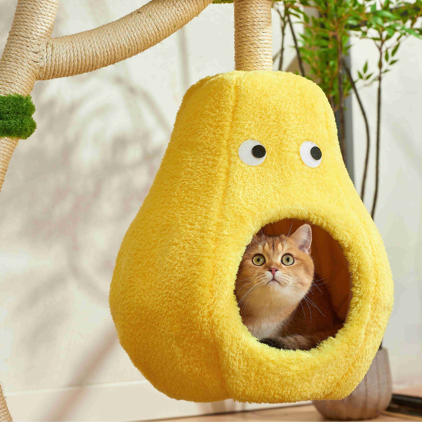 Michu Verde Modern Solid Wood Cat Tree: Multi-Level, Cozy Pear Nest