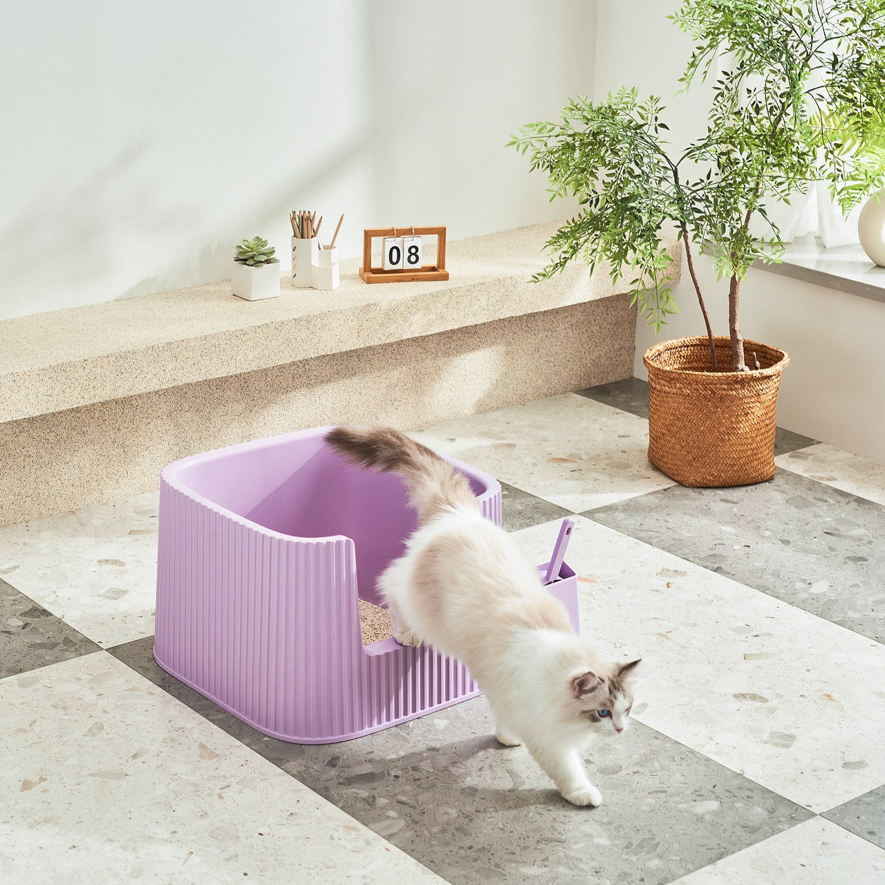 Michu XXL Stella Deluxe Spacious Cat Litter Box with Lid