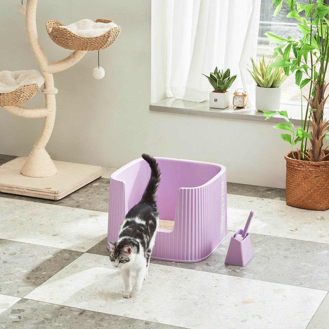 Michu XXL Stella Deluxe Spacious Cat Litter Box with Lid