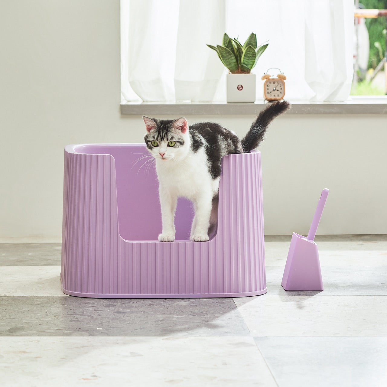 Michu XXL Stella Deluxe Spacious Cat Litter Box with Lid