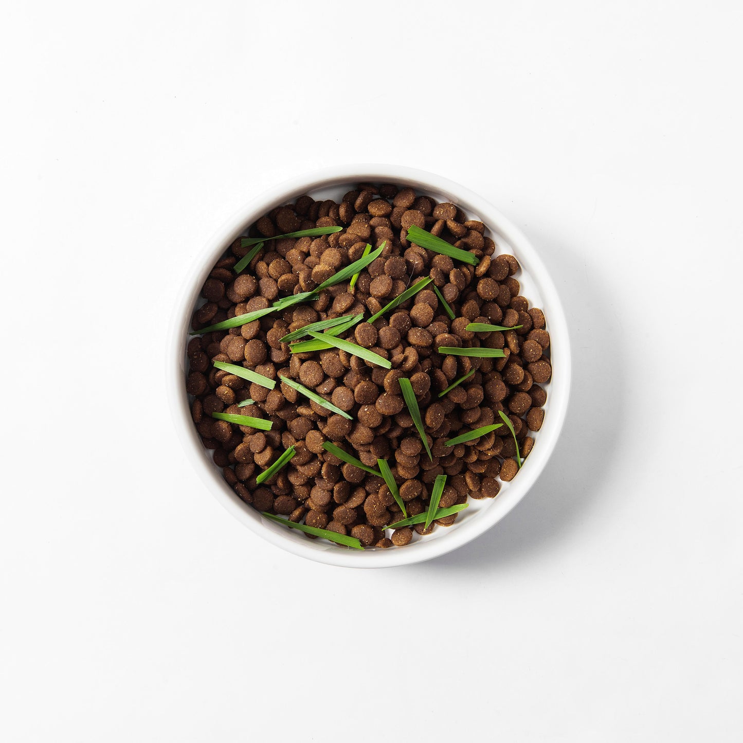 MICHU Soil-Free Cat Grass Kit with Australian Seed