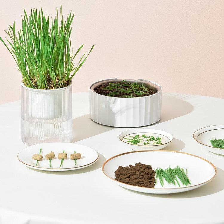 MICHU Soil-Free Cat Grass Kit with Australian Seed
