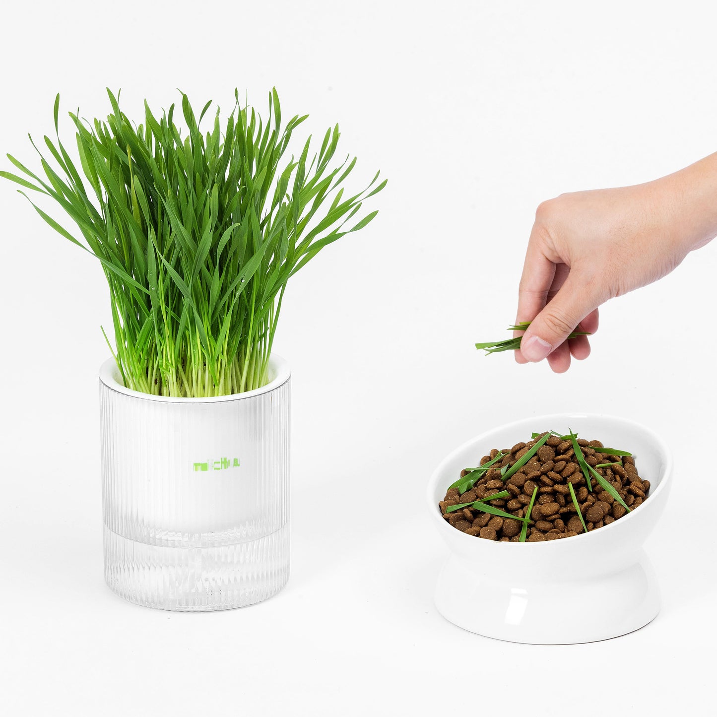 MICHU Soil-Free Cat Grass Kit with Australian Seed