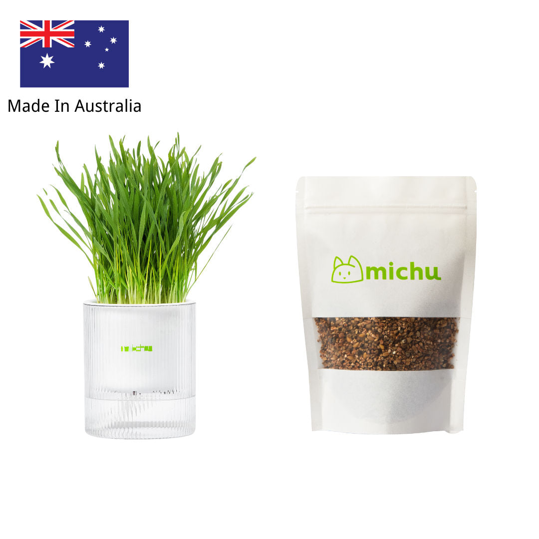 MICHU Soil-Free Cat Grass Kit with Australian Seed