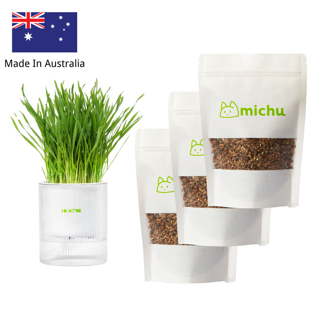 MICHU Soil-Free Cat Grass Kit with Australian Seed