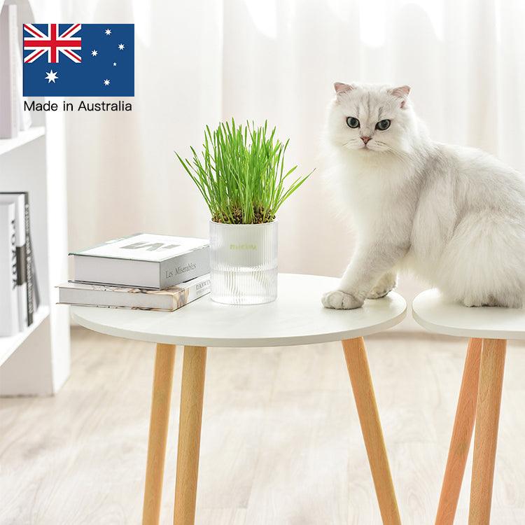 MICHU Soil-Free Cat Grass Kit with Australian Seed