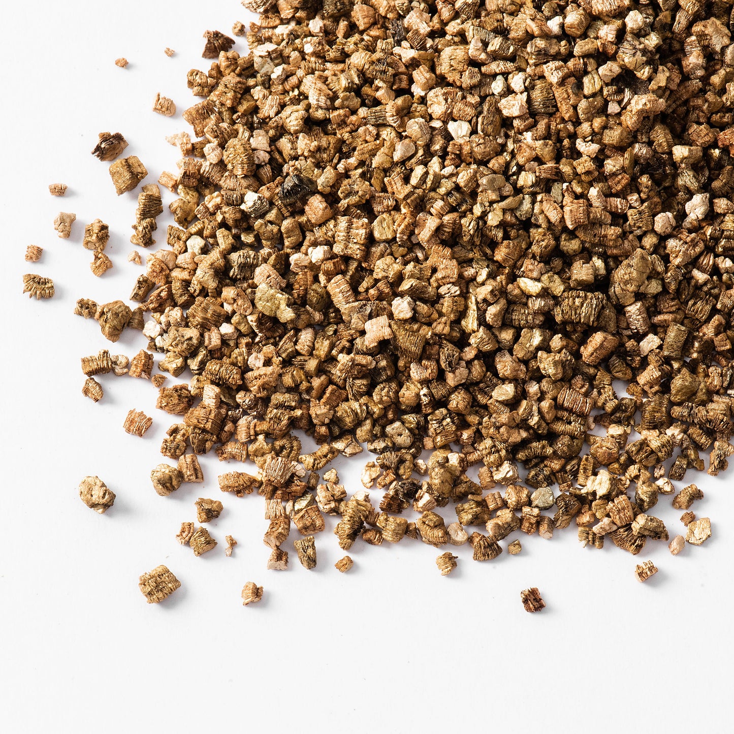 Michu Cat Grass Seed Pack – Lush Healthy Snack