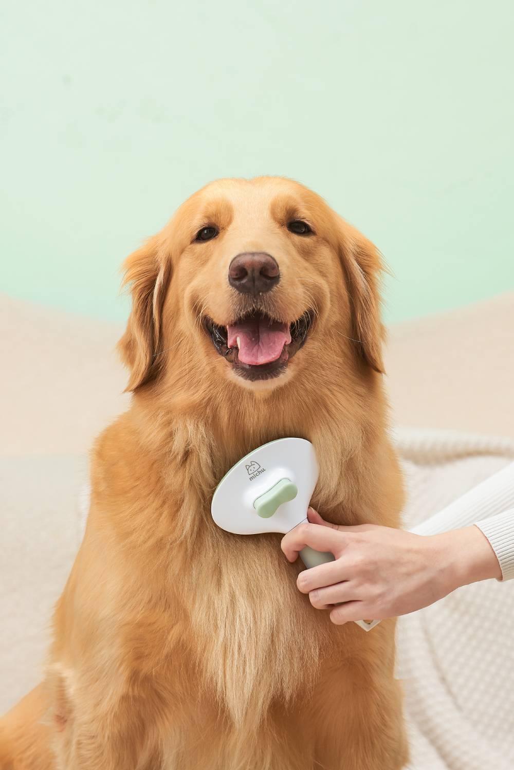Michu Cream Round-Head Grooming Brush for Dogs & Cats