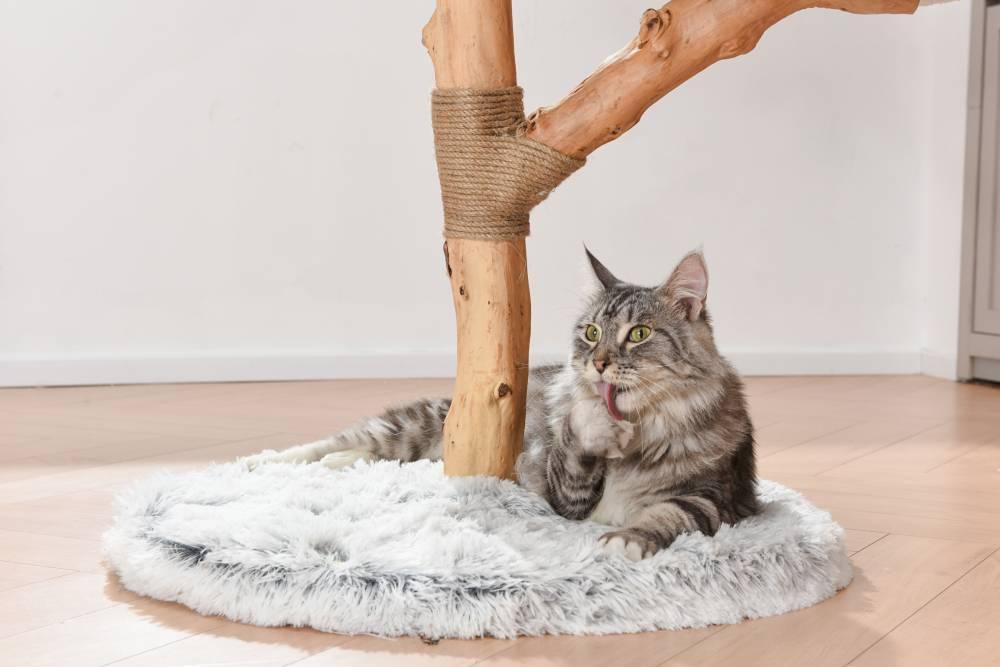 Michu Fluffy Blossom Extra Large Real Wood Cat Tree