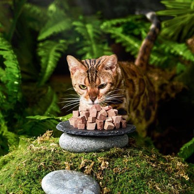 Michu Freeze‑Dried Raw Pet Food 150g Premium Chicken Treat