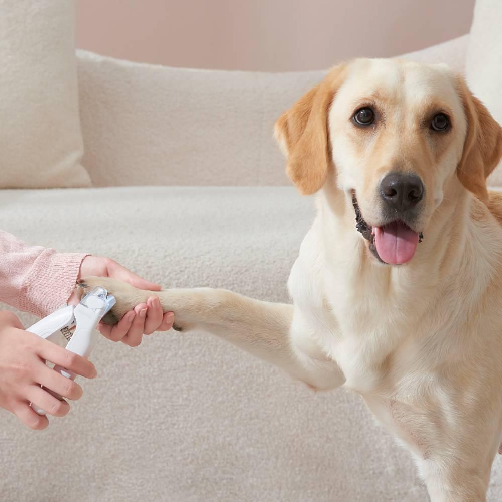 Michu LED Light Cat Dog Nail Clipper 2.0 Precision Groomer