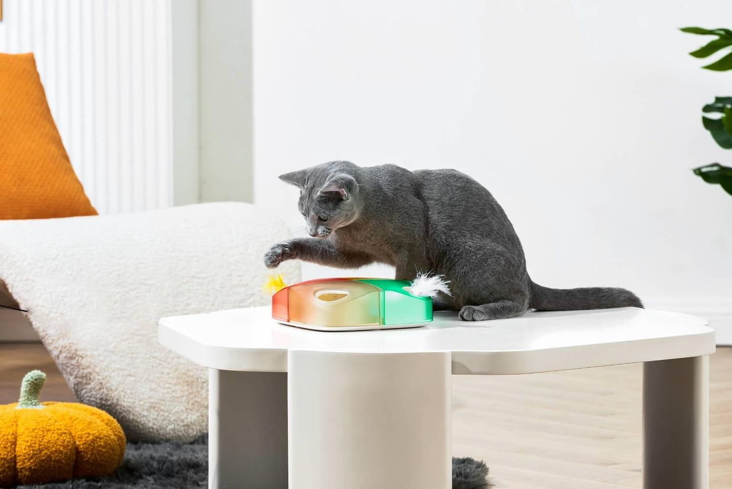Michu Interactive Feathered Rechargeable Cat Toy Box Automatic Play