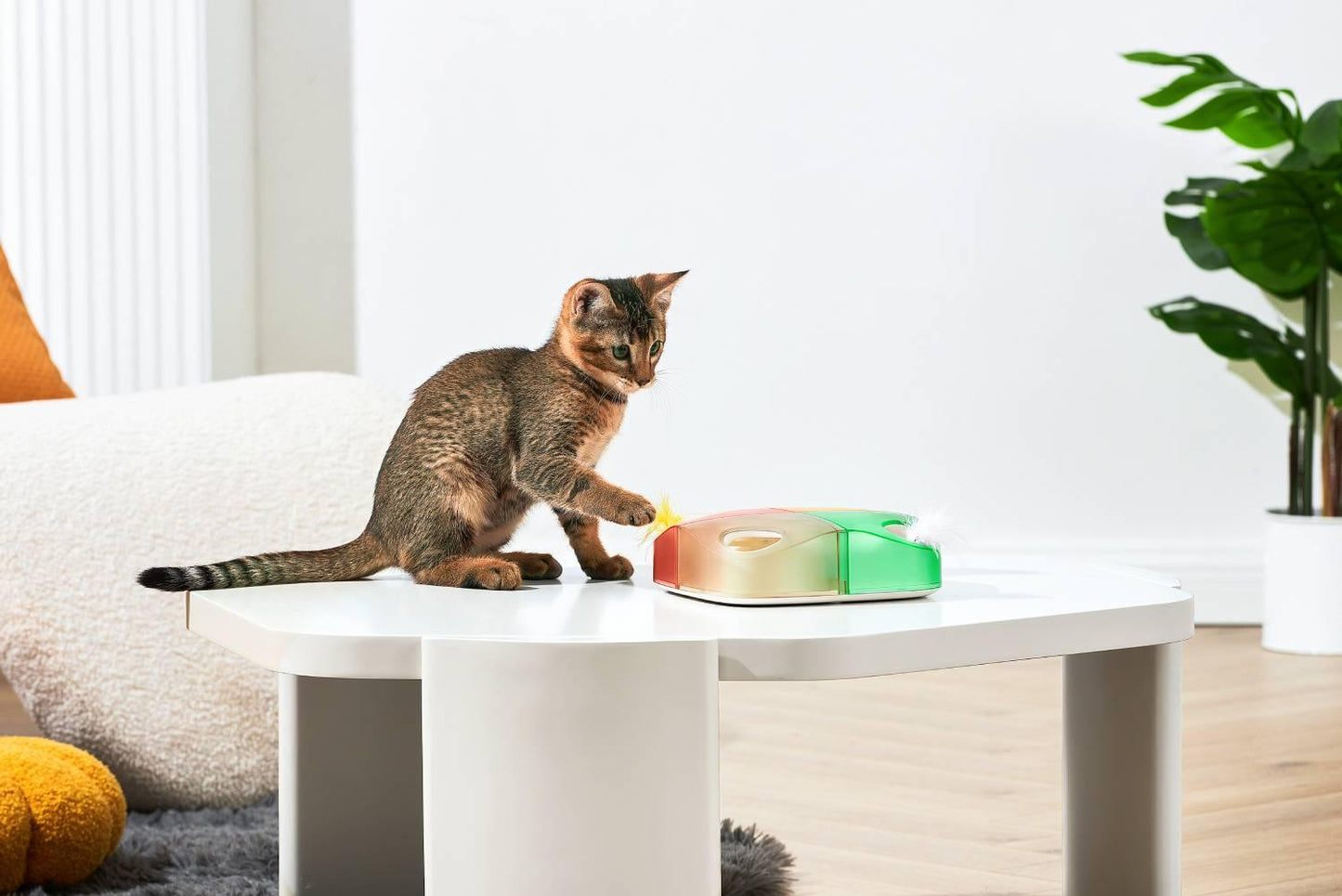 Michu Interactive Feathered Rechargeable Cat Toy Box Automatic Play