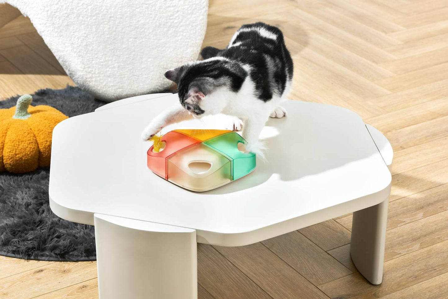 Michu Interactive Feathered Rechargeable Cat Toy Box Automatic Play