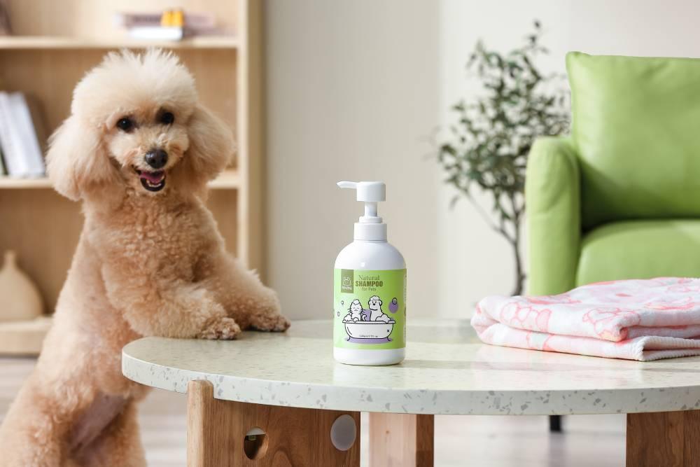 Michu Catnip Pet Shampoo 500ml – Soothing Shine for Dogs