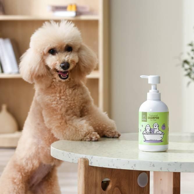 Michu Catnip Pet Shampoo 500ml – Soothing Shine for Dogs
